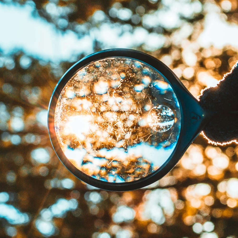 A frosty or scratched magnifying glass from below, looking at the sun through autumn leaves 